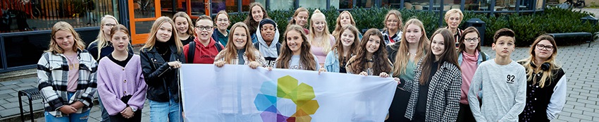 Decoratieve foto van een grote groep leerlingen met een vlag van Gezonde School