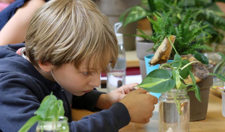 Decoratieve foto van een jongen die een plant verzorgt in de klas als onderdeel van Gezonde School-activiteit Binnenbos