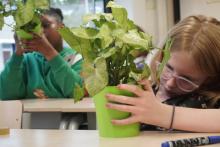 Decoratieve foto van leerlingen die werken met Binnenbos: ze zijn zijn planten aan het verzorgen